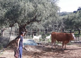 Επίσκεψη_πελατών_από_Ταιβάν_732χ412