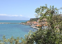 KORONI NEW