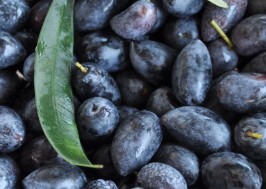 olives kalamata