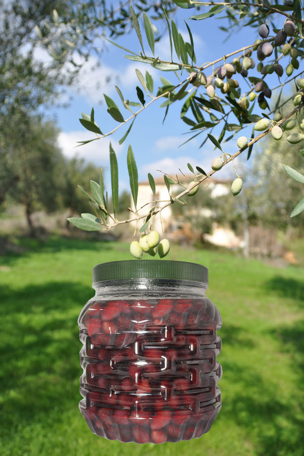 5KG KALAMATA OLIVES  SIZE COLOSSAL ( 121-140) PIECES / KGR